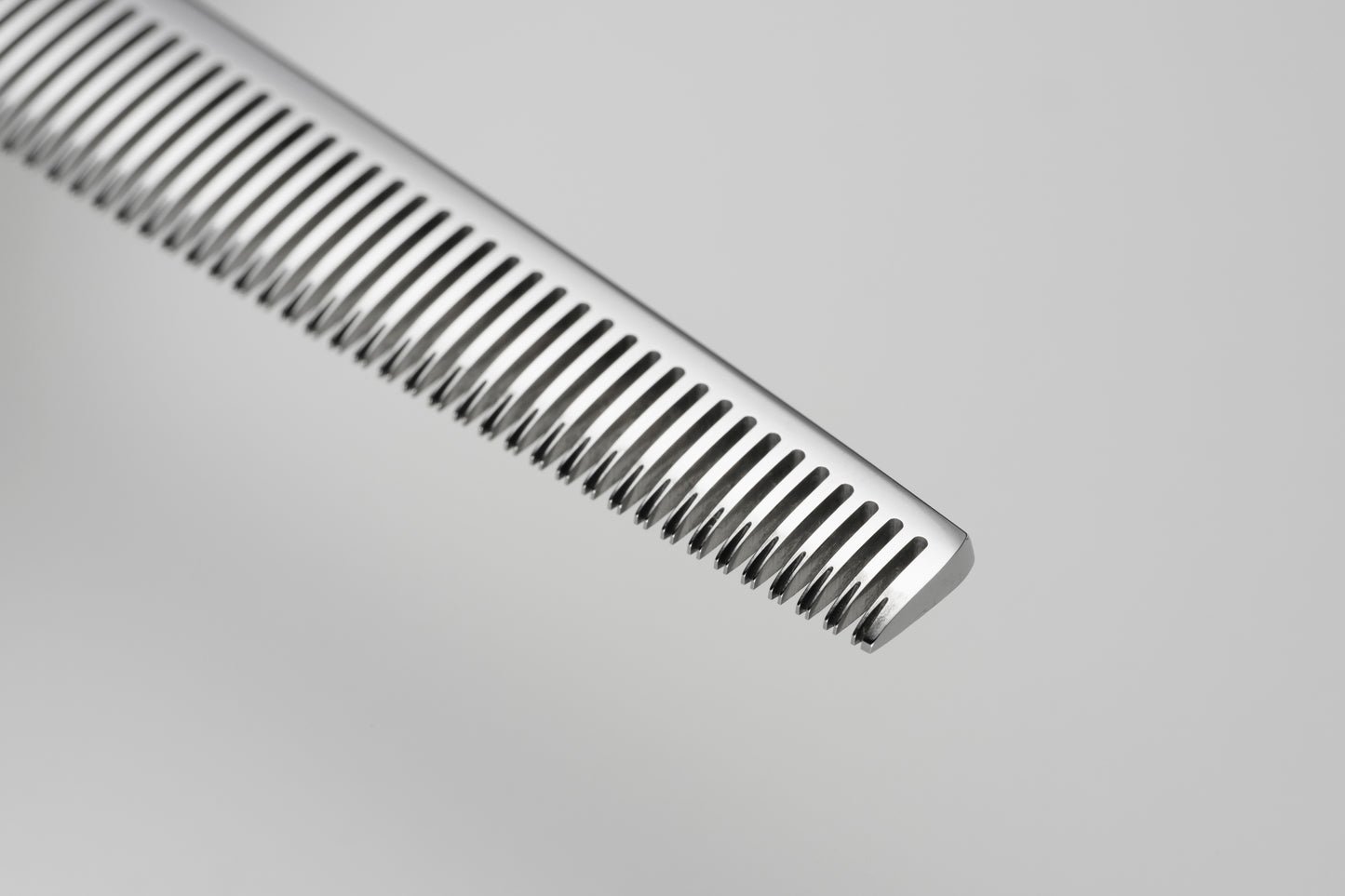 お試し/ペット/Papillon/42S