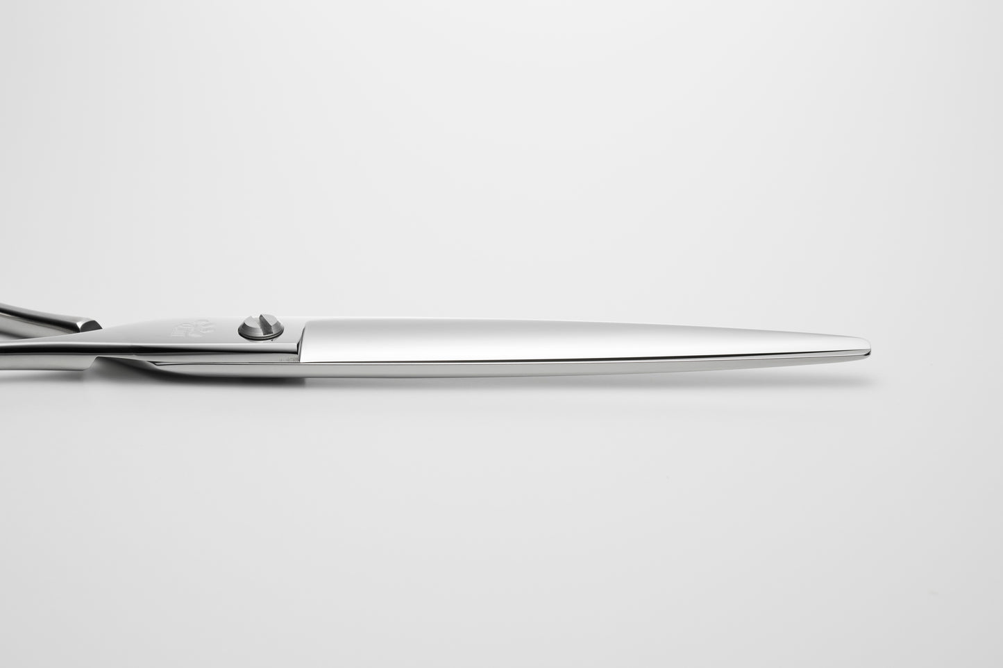 お試し/ペット/Papillon/70DX