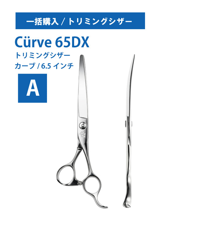 一括購入/ペット/Curve/65DX