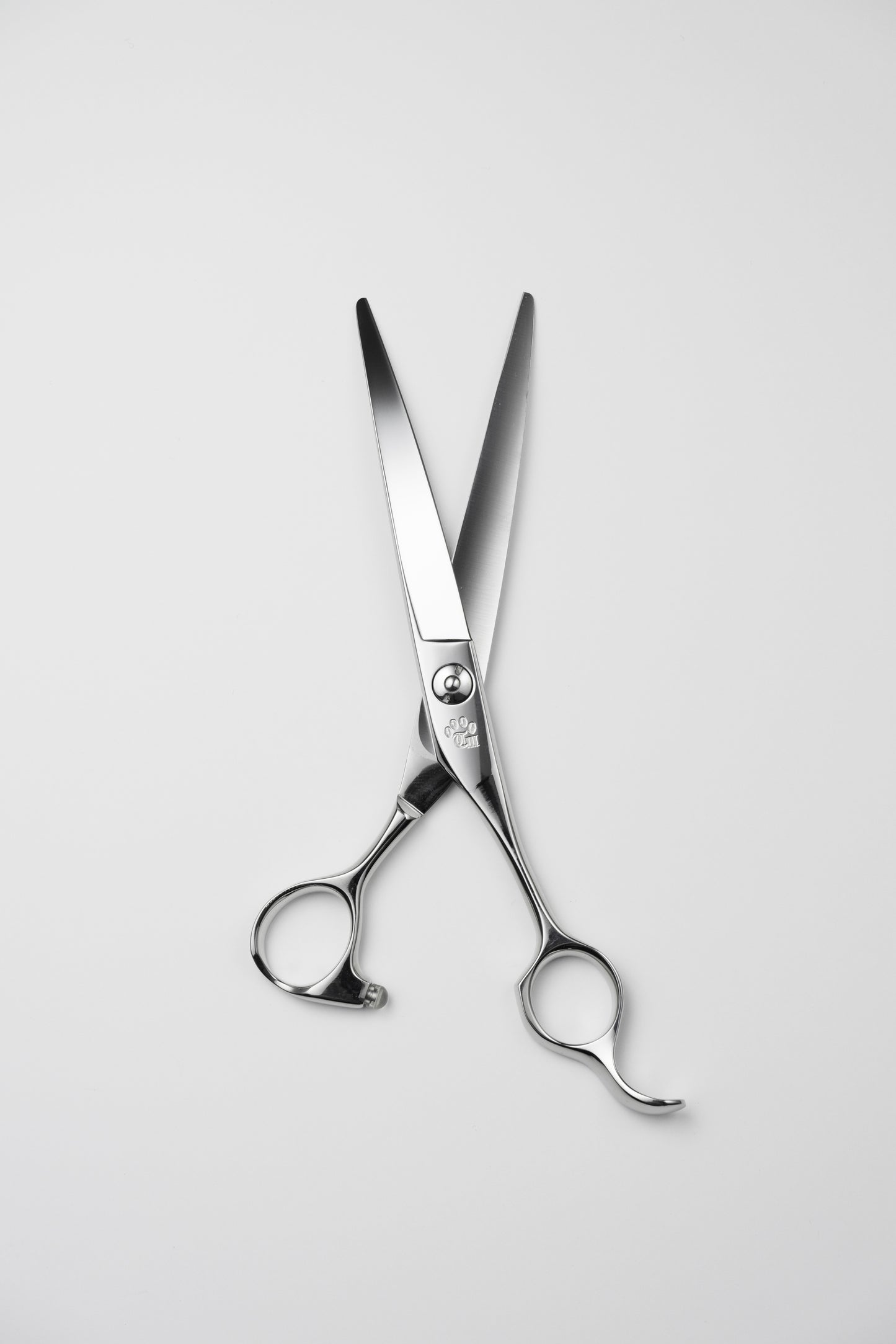 お試し/ペット/Curve/65DX