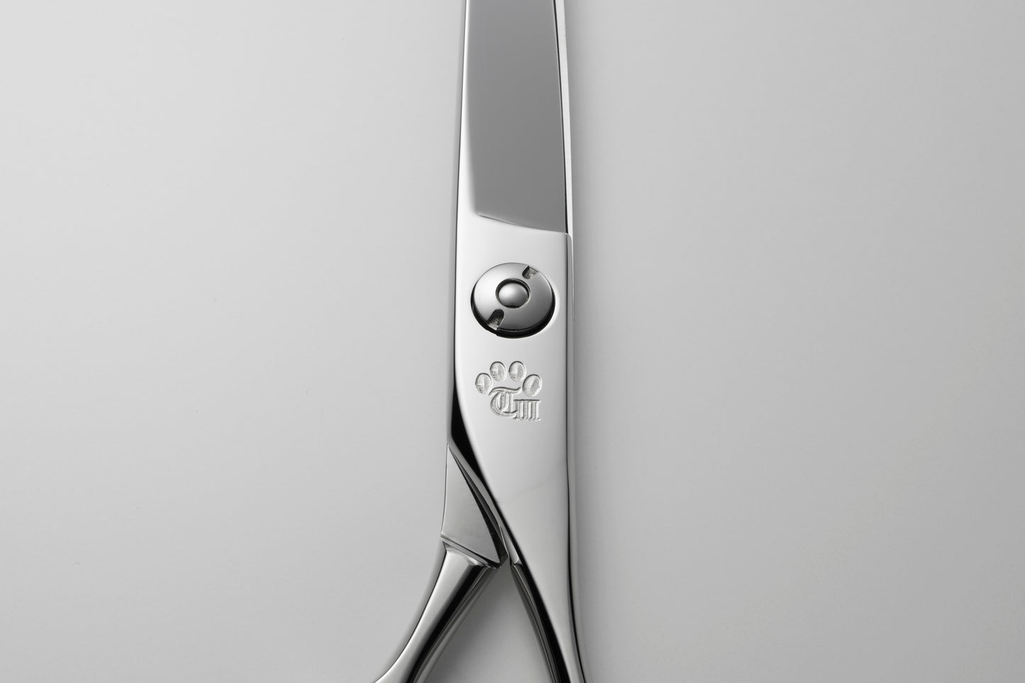 お試し/ペット/Curve/65DX