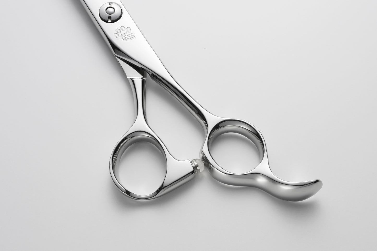 お試し/ペット/Curve/65DX