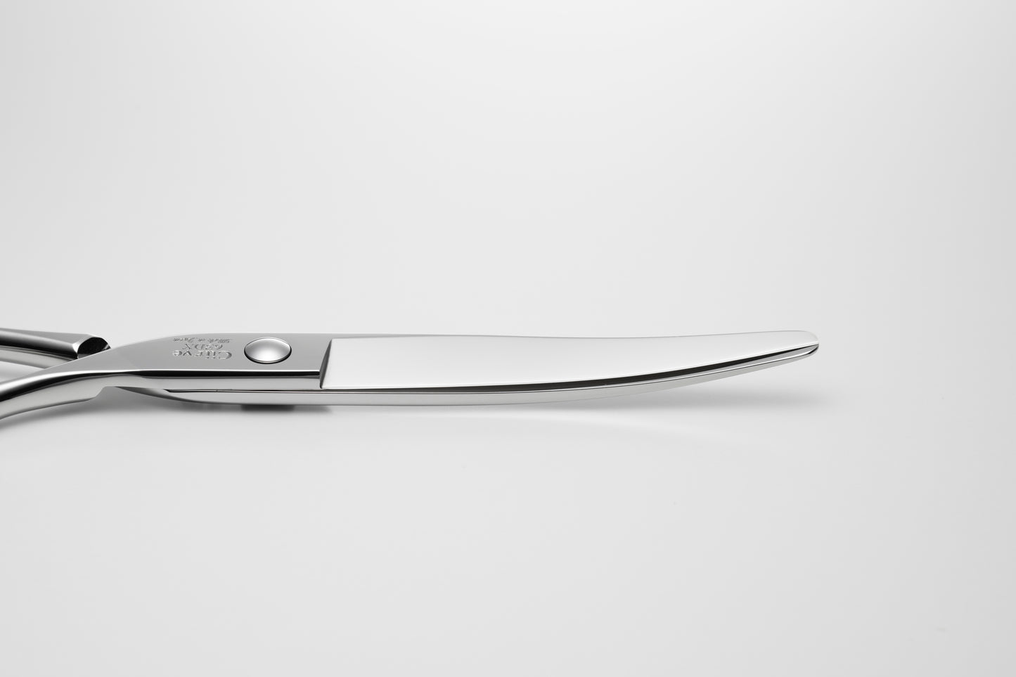 お試し/ペット/Curve/65DX