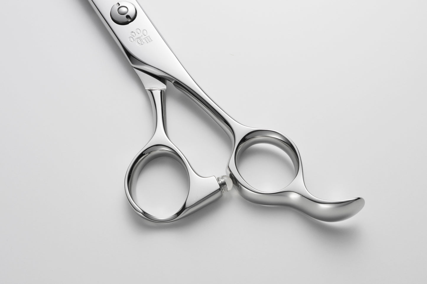 お試し/ペット/Curve/70DX