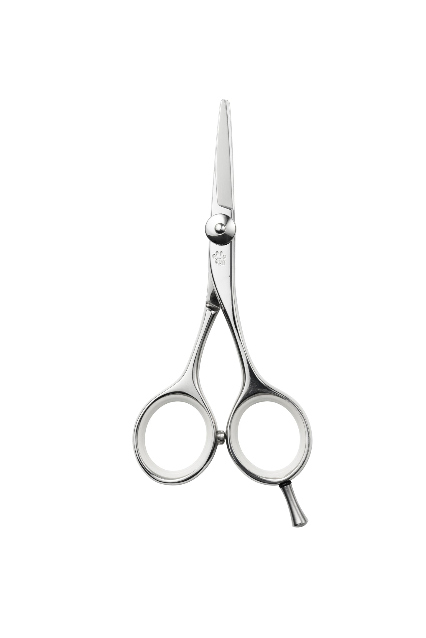 お試し/ペット/Lonchiwa/43M