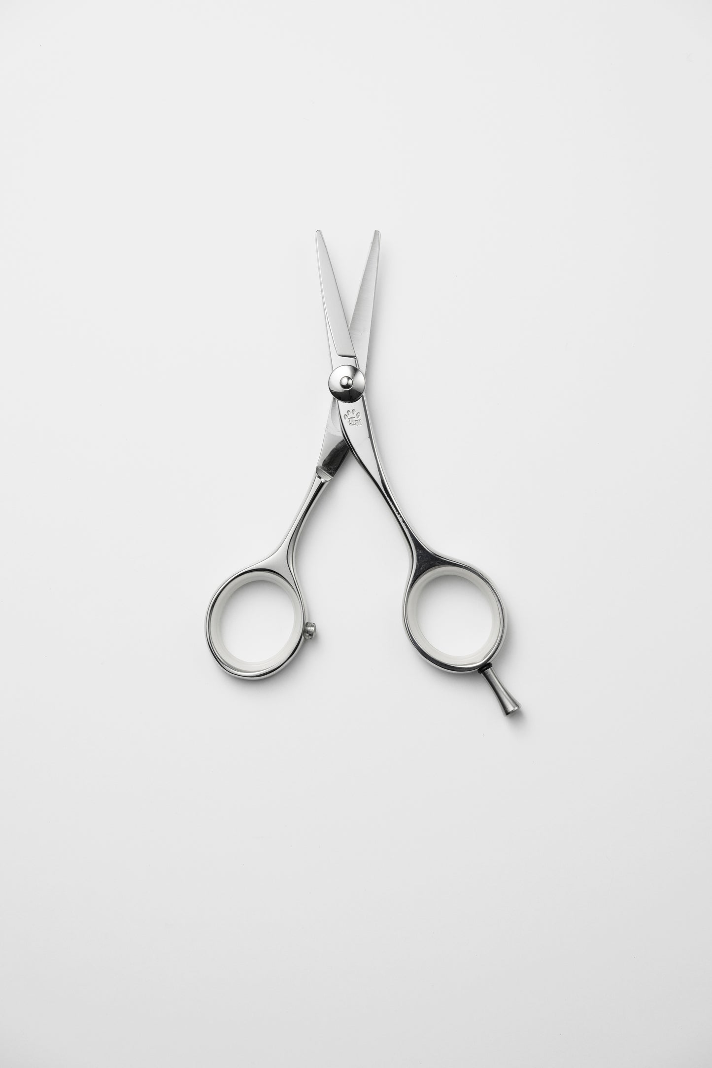 お試し/ペット/Lonchiwa/43M