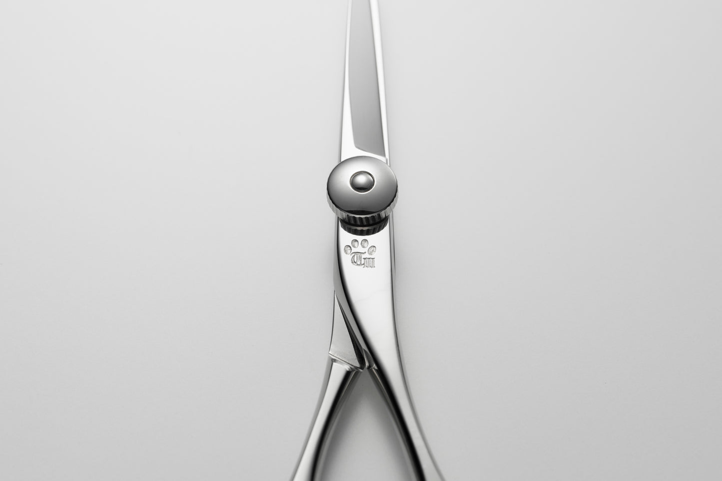 お試し/ペット/Lonchiwa/43M