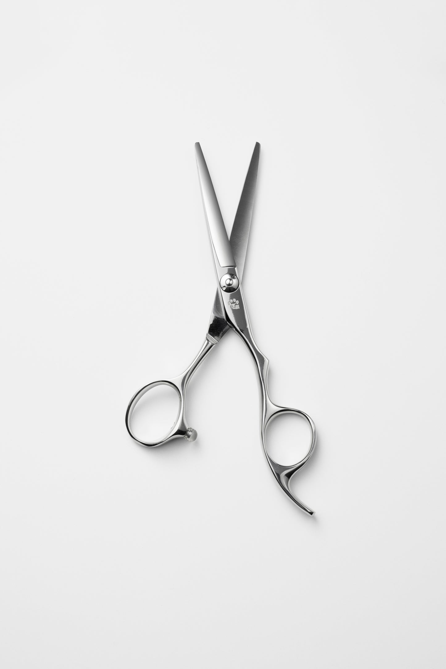 お試し/ペット/Lonchiwa/50DX