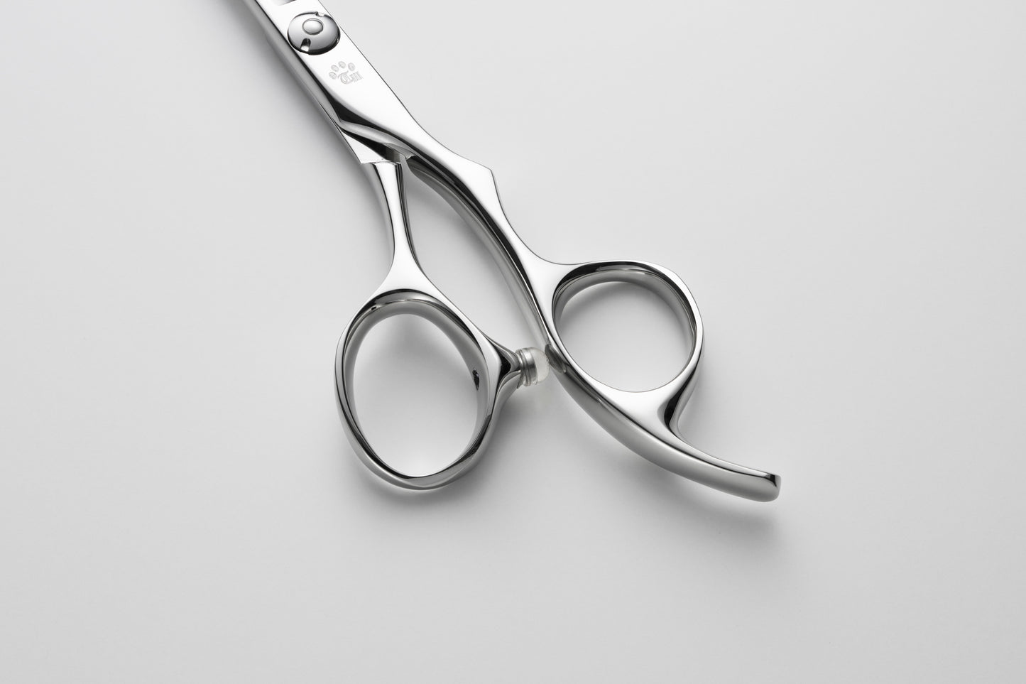 お試し/ペット/Lonchiwa/50DX