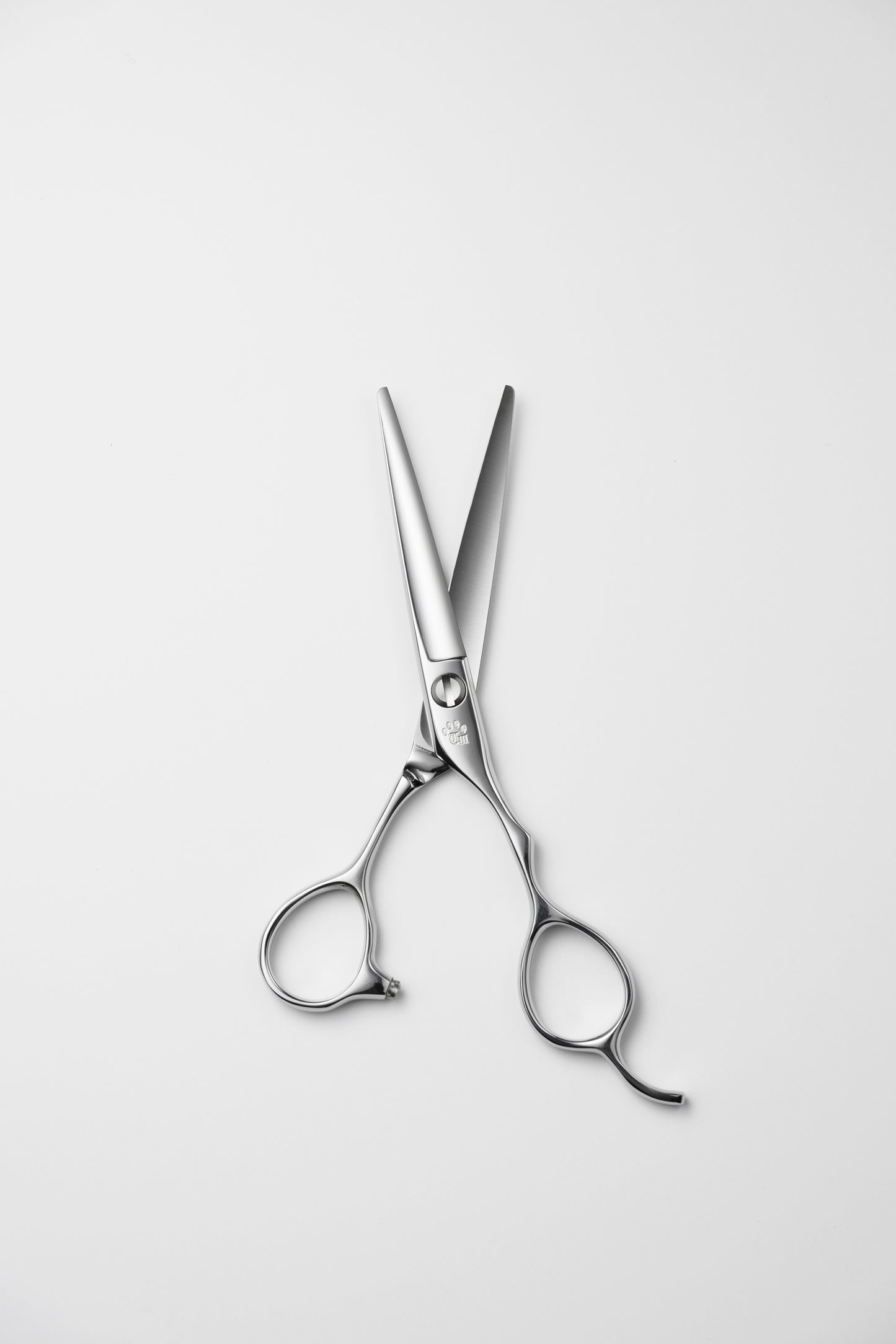 お試し/ペット/Lonchiwa/55Y