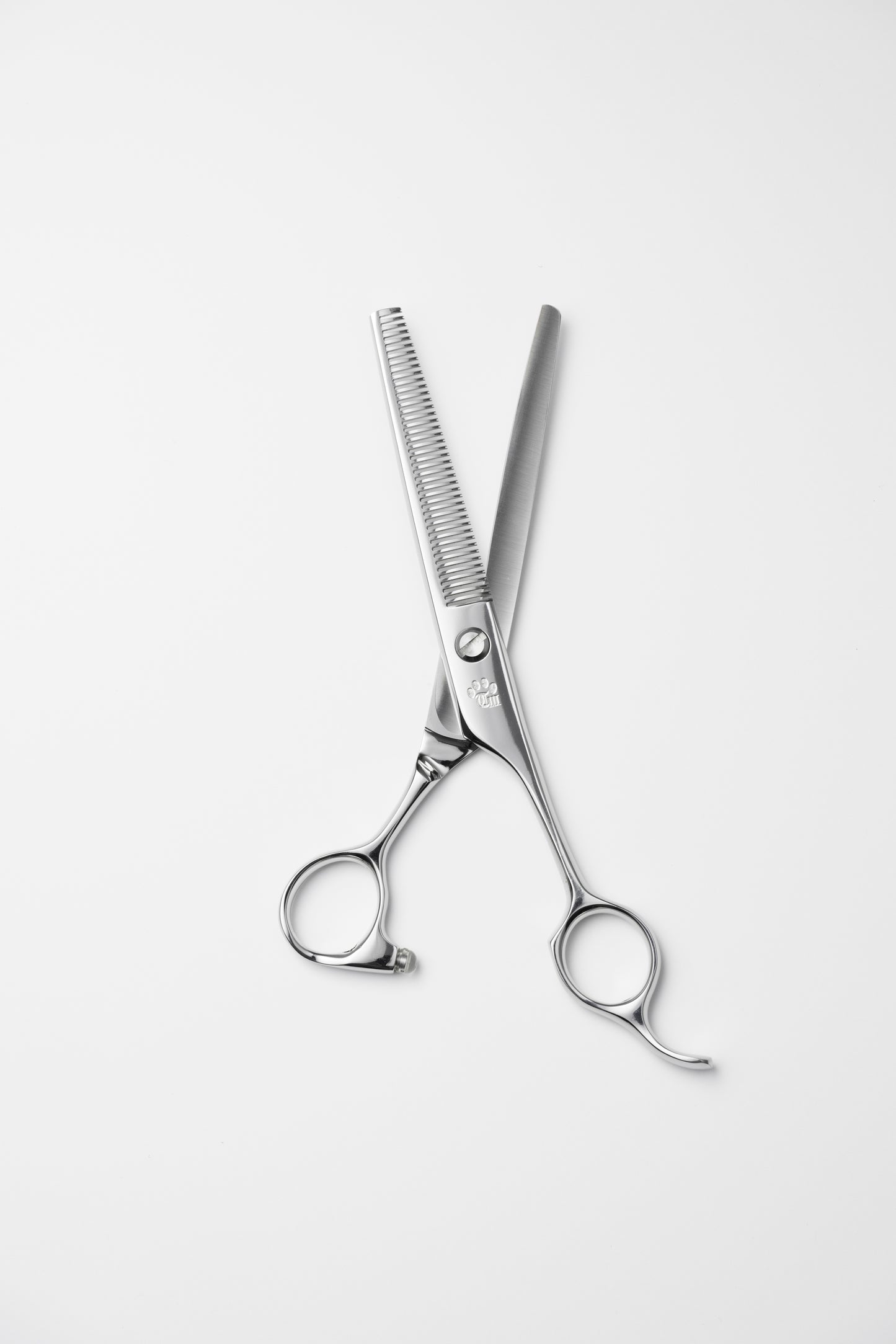 お試し/ペット/Papillon/42S