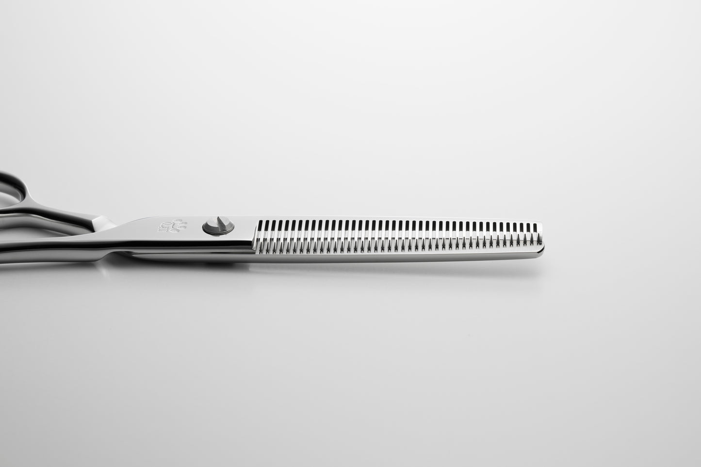 お試し/ペット/Papillon/42S