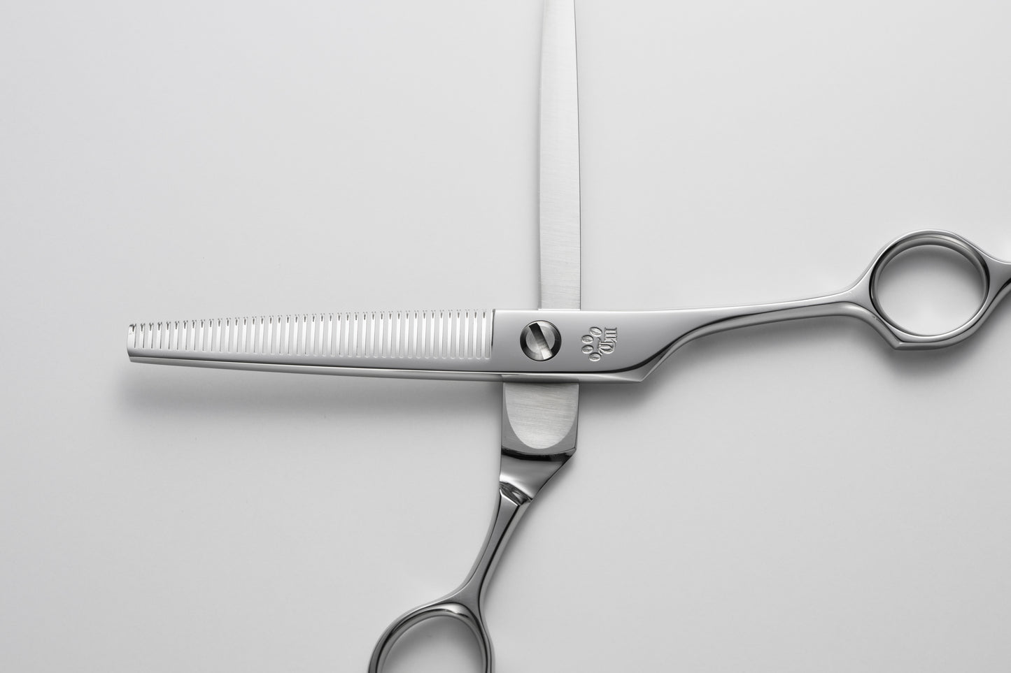 お試し/ペット/Papillon/42S