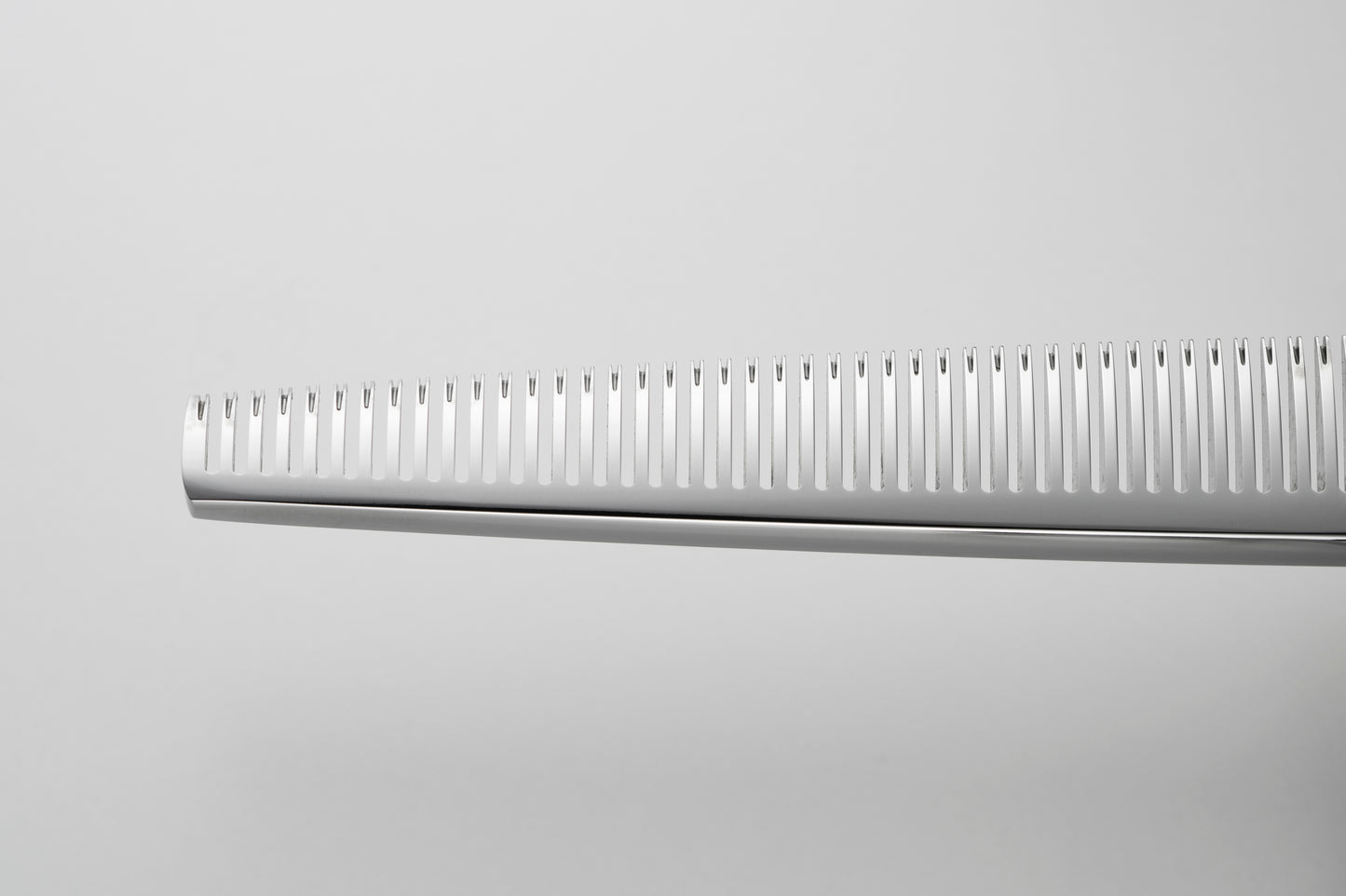 お試し/ペット/Papillon/42S