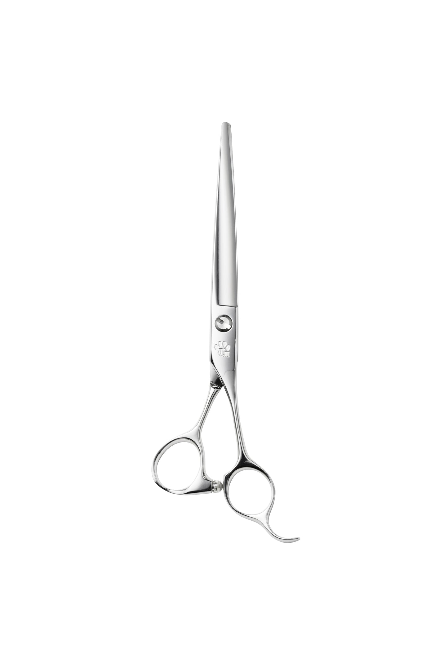 お試し/ペット/Papillon/65DX