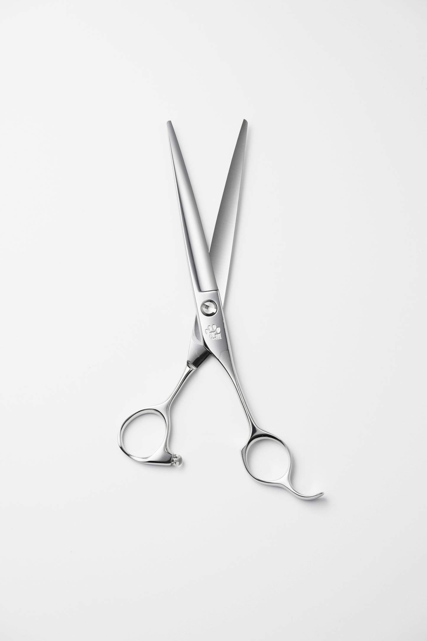 お試し/ペット/Papillon/65DX