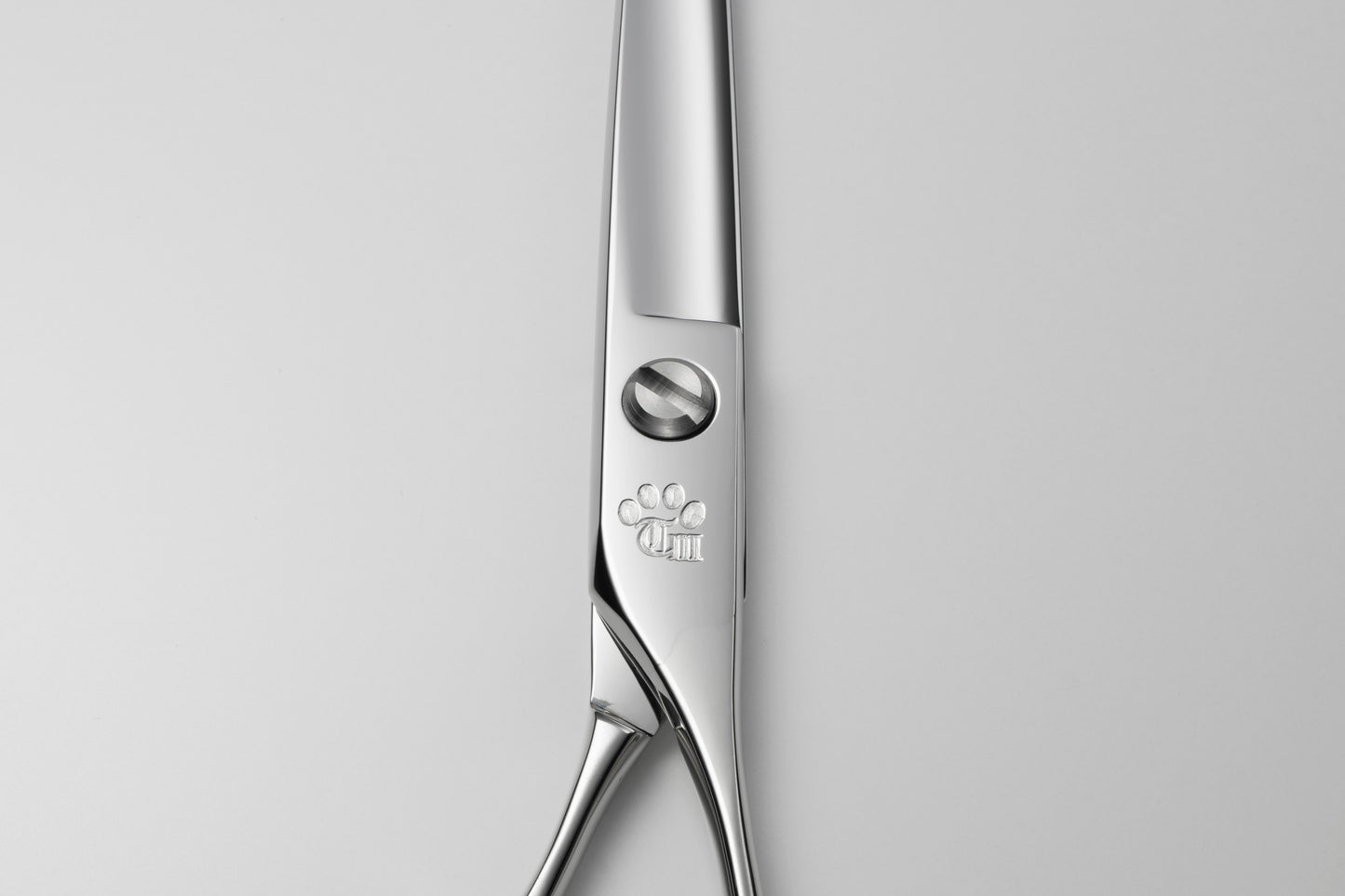 お試し/ペット/Papillon/65DX