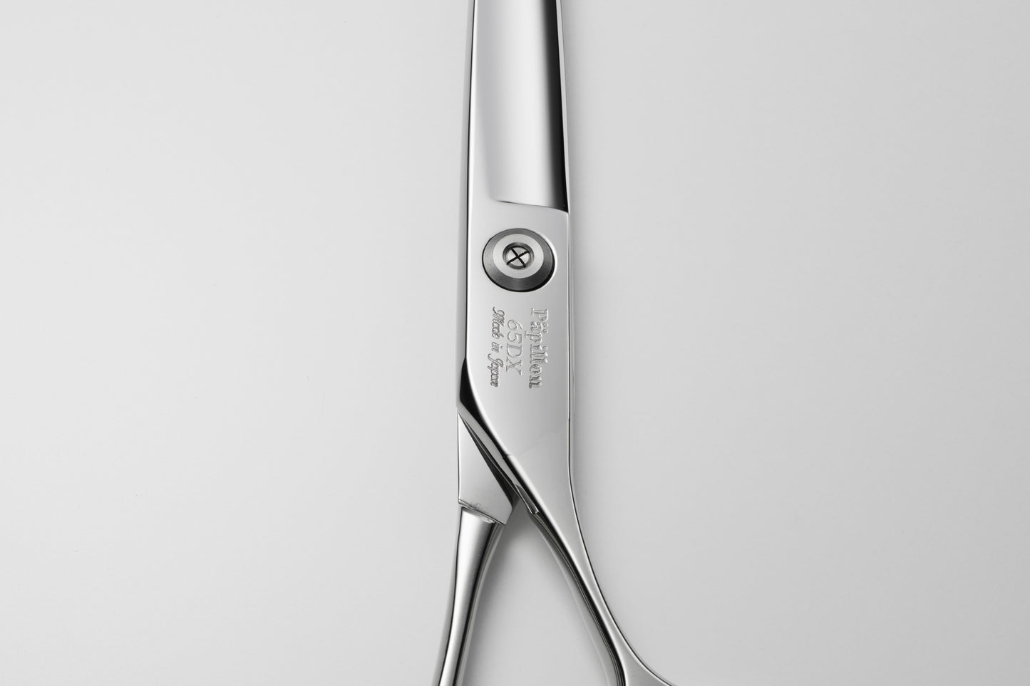 お試し/ペット/Papillon/65DX