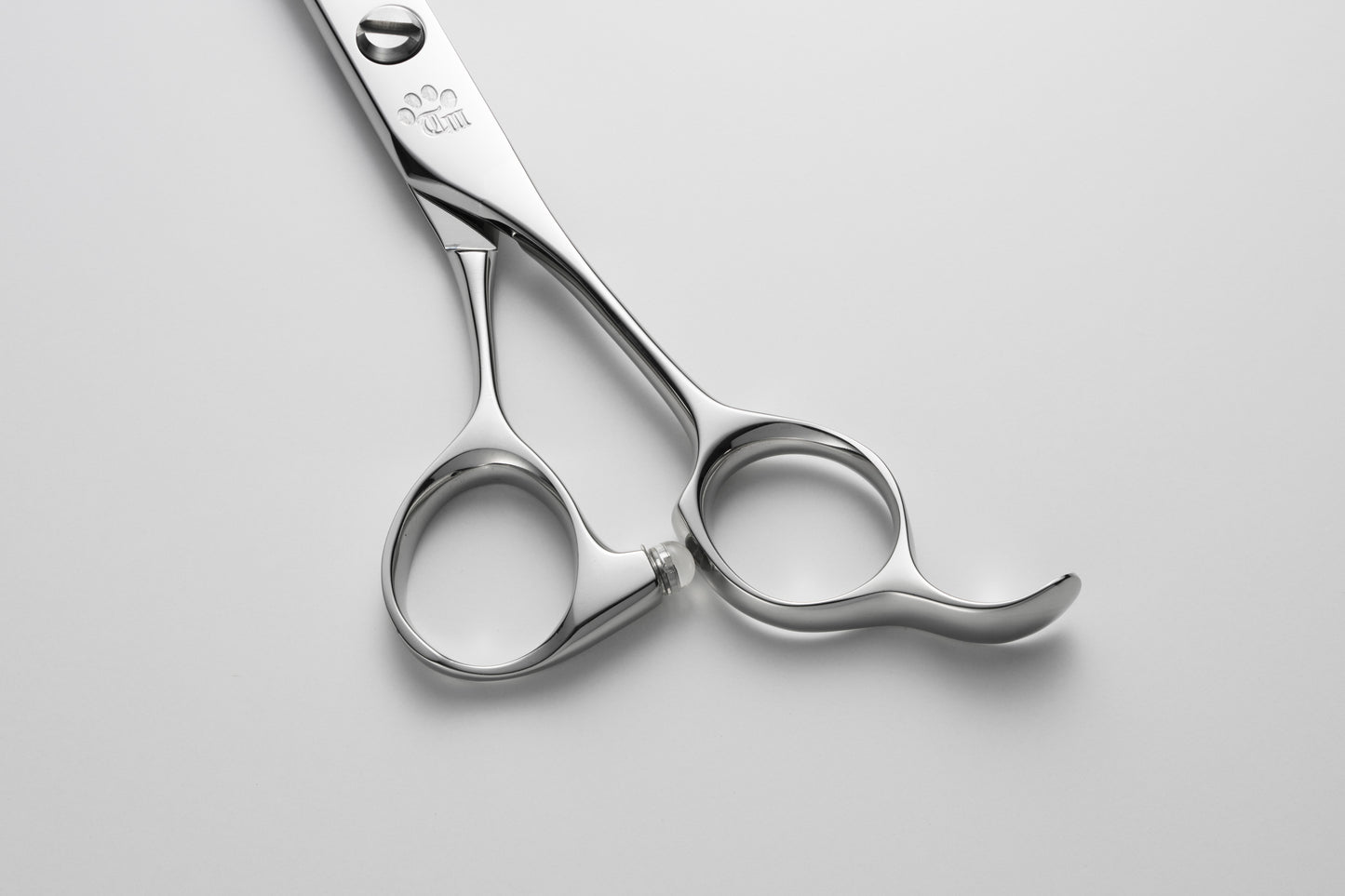 お試し/ペット/Papillon/65DX