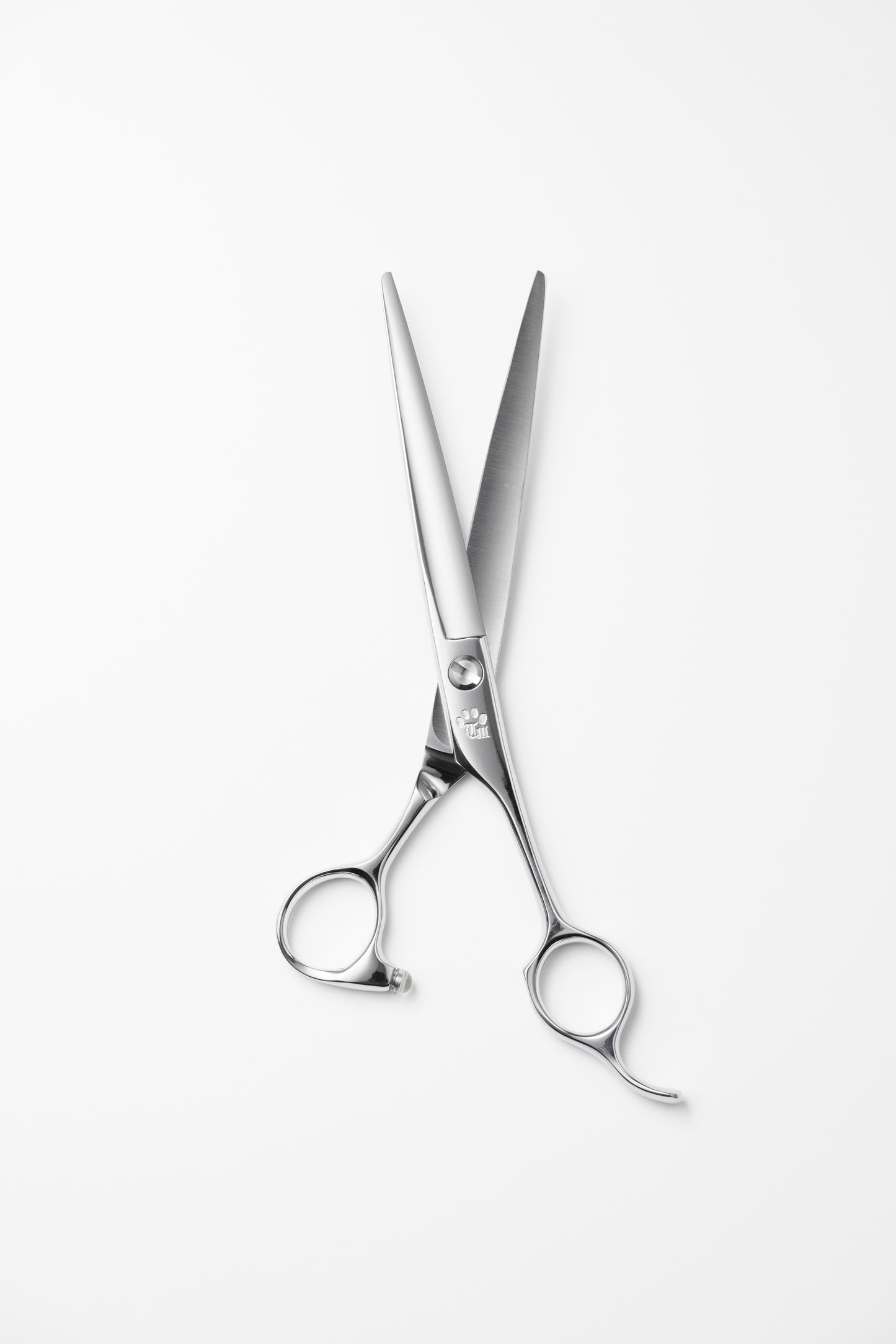 お試し/ペット/Papillon/65S