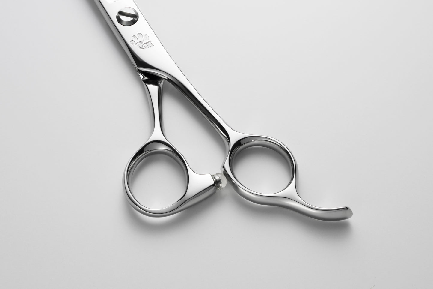 お試し/ペット/Papillon/65S