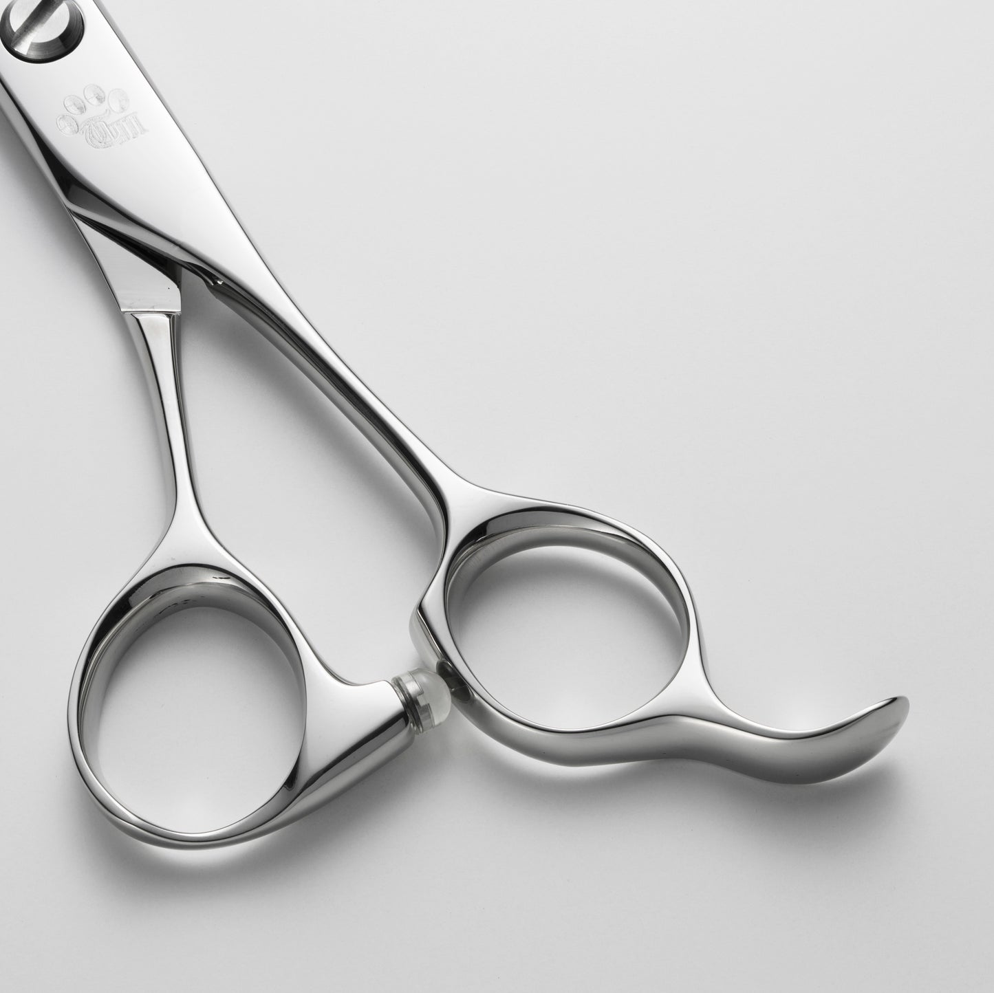 お試し/ペット/Papillon/70DX